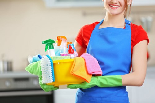 Local Richmond window cleaning service for homes and businesses
