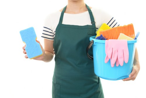 Deep cleaning service for Richmond homes and apartments