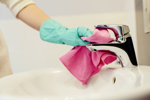 Professional oven cleaning service for Richmond homes and kitchens
