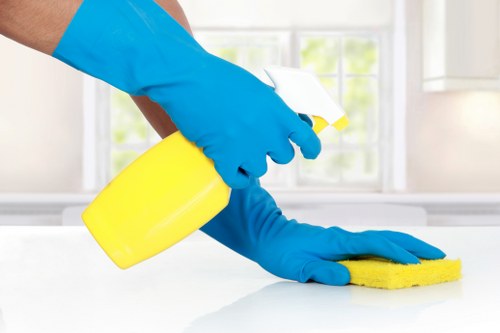 Professional carpet cleaning for a Richmond home living room