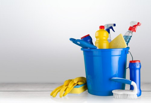 Professional cleaner handling domestic cleaning tasks in Richmond