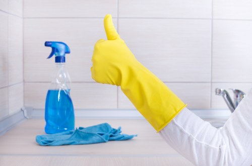 Local oven cleaning service for Richmond kitchens and appliances