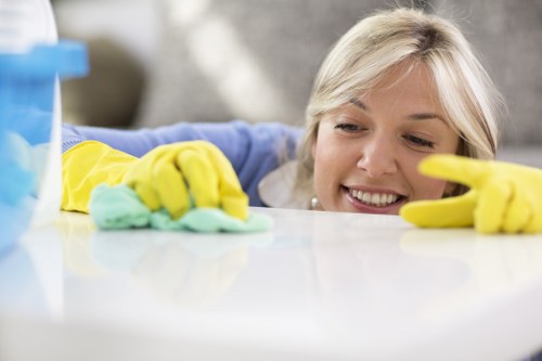 Related specialist cleaning options for Richmond properties