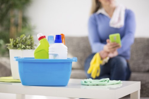 Upholstery cleaning process for a living room sofa in Richmond