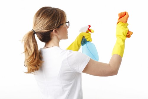 Bathroom and kitchen domestic cleaning for a Richmond property