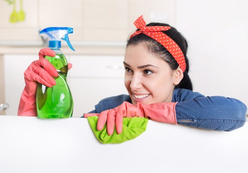 Accessibility support message for Deep Cleaning Richmond users