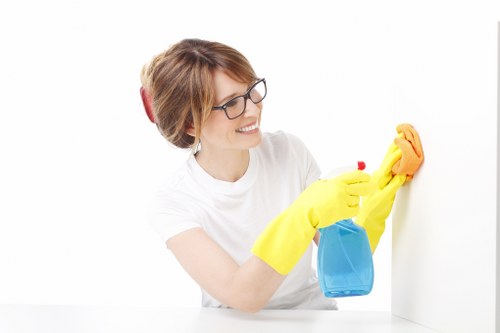 Window cleaner handling upper-floor glass on a Richmond property