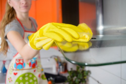 Deep cleaning of oven racks, glass door, and interior in Richmond