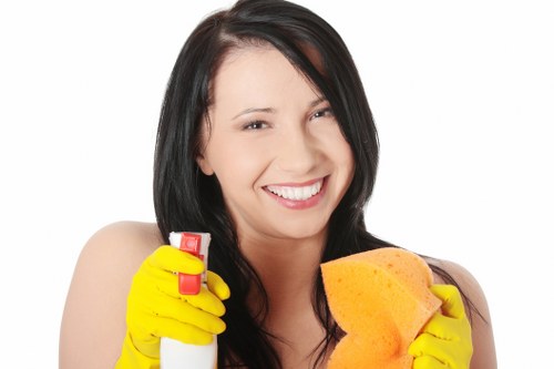 Local carpet cleaning service for Richmond apartments and houses